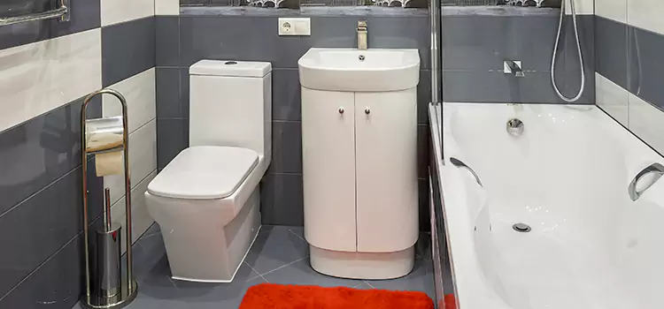 Hansgrohe Shaving Mirror Fort St. John